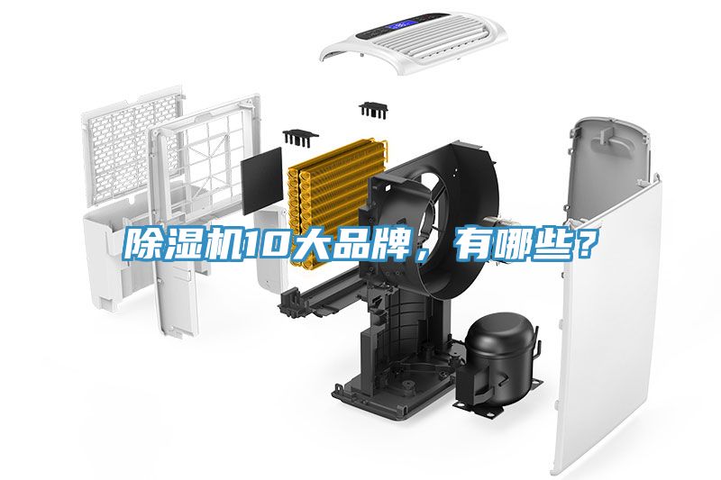 91看片软件大全10大品牌，有哪些？