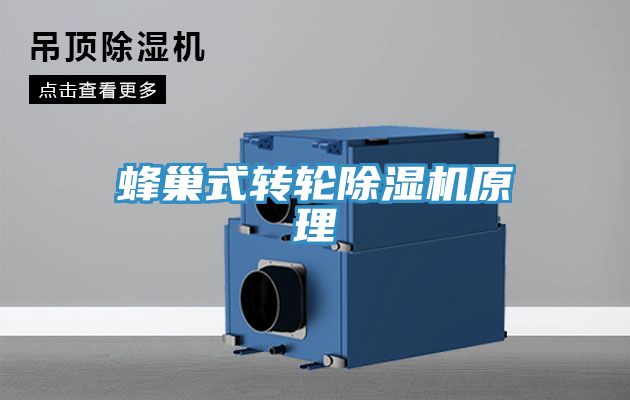 蜂巢式轉輪91看片软件大全原理