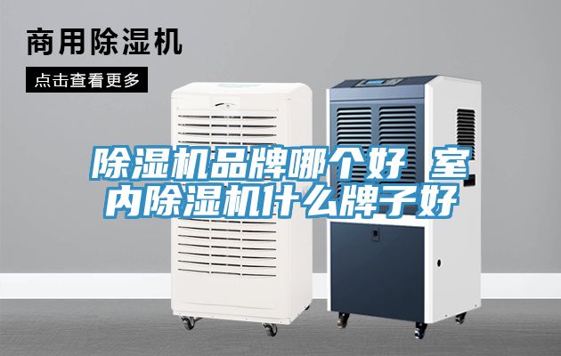 91看片软件大全品牌哪個好 室內91看片软件大全什麽牌子好