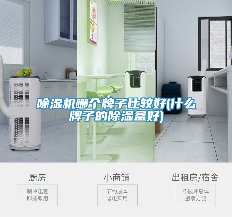 91看片软件大全哪個牌子比較好(什麽牌子的除濕盒好)