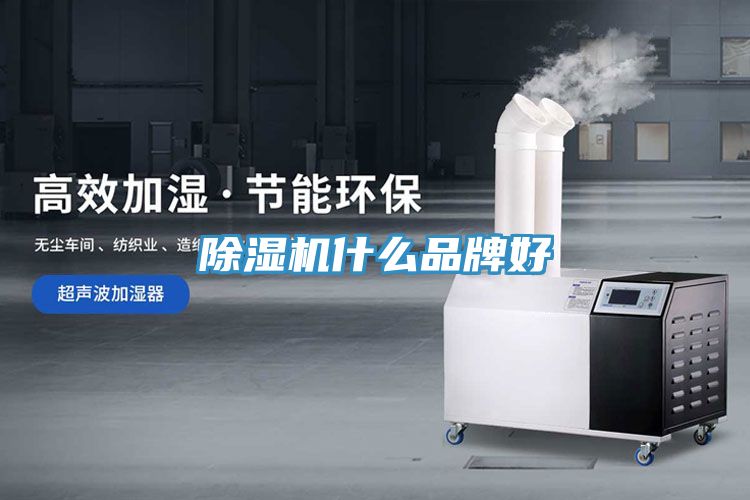 91看片软件大全什麽品牌好