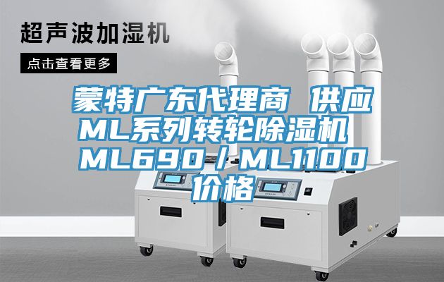 蒙特廣東代理商 供應ML係列轉輪91看片软件大全 ML690／ML1100價格