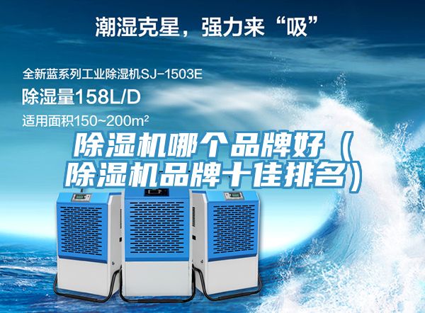 91看片软件大全哪個品牌好（91看片软件大全品牌十佳排名）