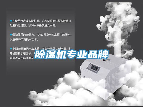91看片软件大全專業品牌