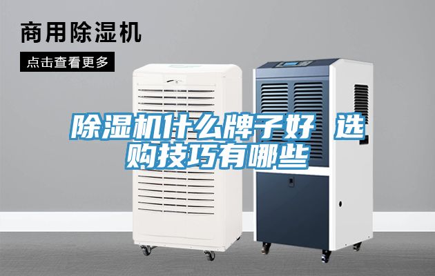 91看片软件大全什麽牌子好 選購技巧有哪些