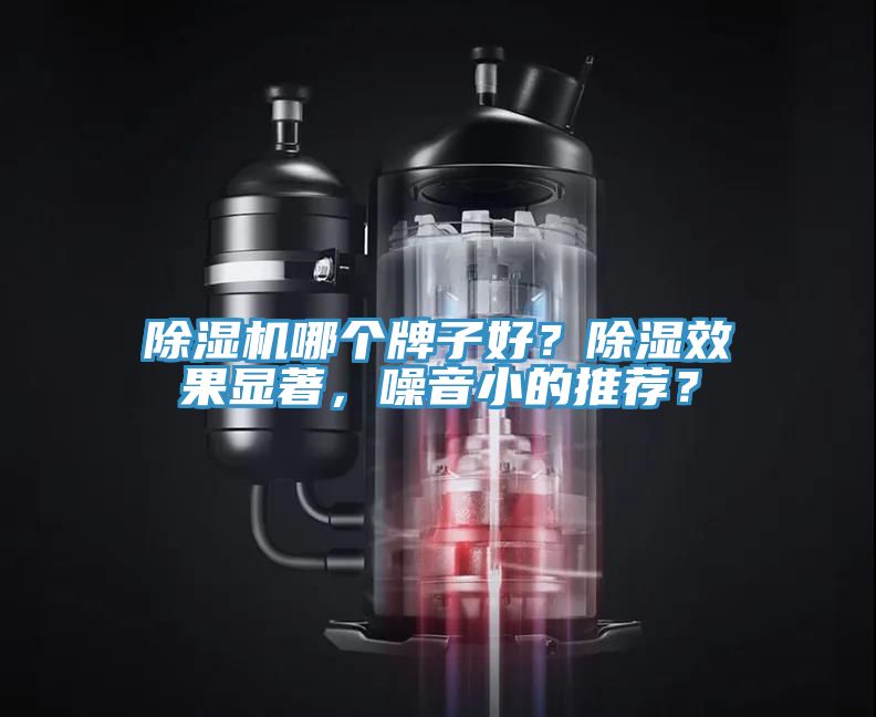 91看片软件大全哪個牌子好？除濕效果顯著，噪音小的推薦？