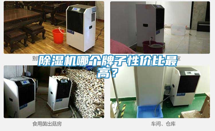 91看片软件大全哪個牌子性價比最高？