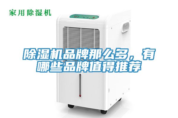 91看片软件大全品牌那麽多，有哪些品牌值得推薦