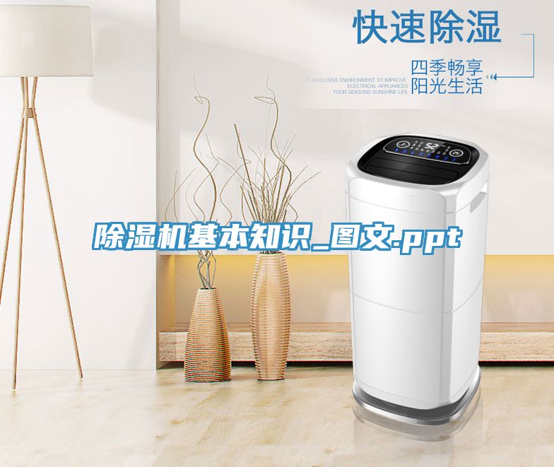 91看片软件大全基本知識_圖文.ppt
