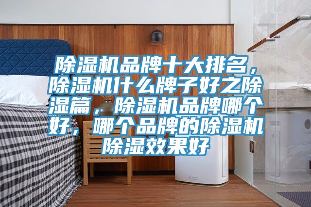 91看片软件大全品牌十大排名，91看片软件大全什麽牌子好之除濕篇，91看片软件大全品牌哪個好，哪個品牌的91看片软件大全除濕效果好