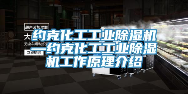 約克化工工業91看片软件大全—約克化工工業91看片软件大全工作原理介紹