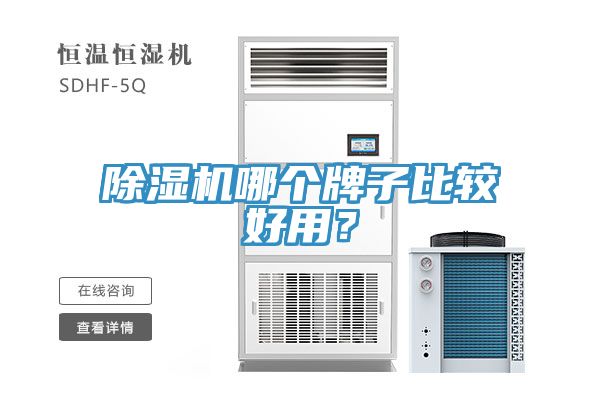91看片软件大全哪個牌子比較好用？