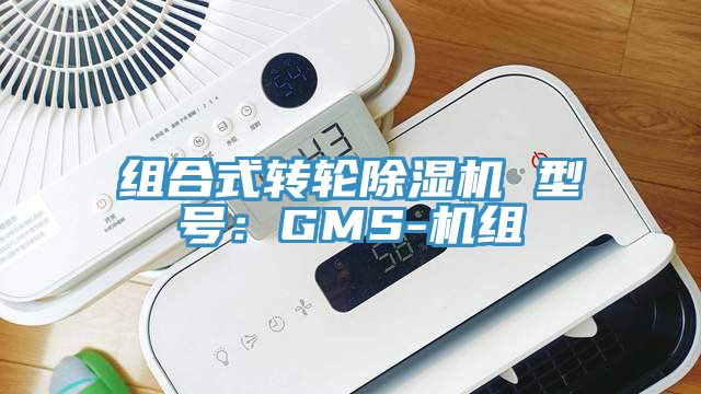 組合式轉輪91看片软件大全 型號：GMS-機組