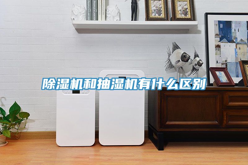 91看片软件大全和抽濕機有什麽區別