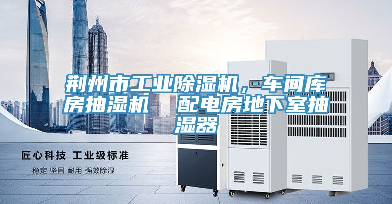 荊州市工業91看片软件大全，車間庫房抽濕機  配電房地下室抽濕器