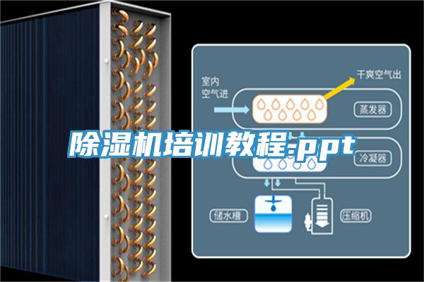 91看片软件大全培訓教程.ppt