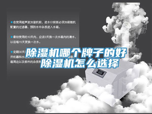 91看片软件大全哪個牌子的好 91看片软件大全怎麽選擇