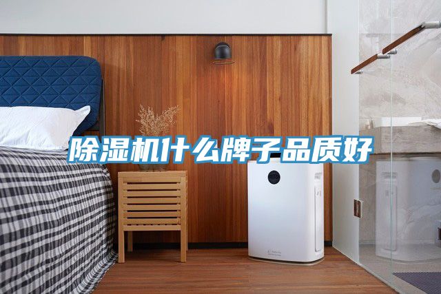 91看片软件大全什麽牌子品質好