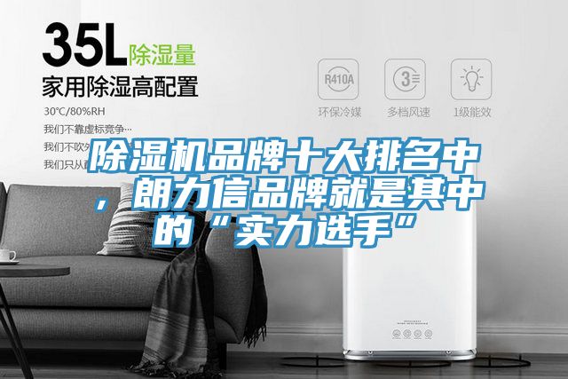 91看片软件大全品牌十大排名中，朗力信品牌就是其中的“實力選手”