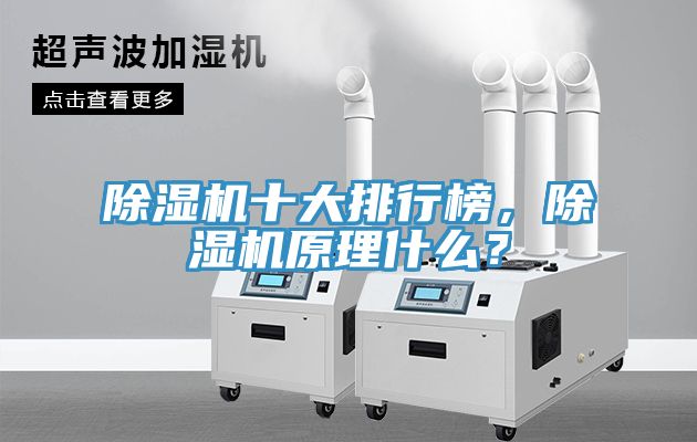 91看片软件大全十大排行榜，91看片软件大全原理什麽？