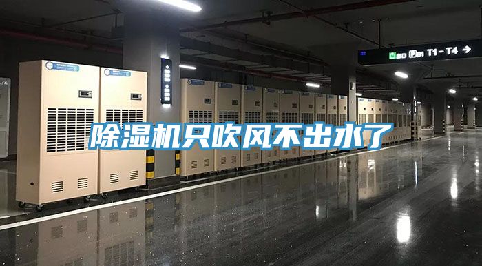 91看片软件大全隻吹風不出水了