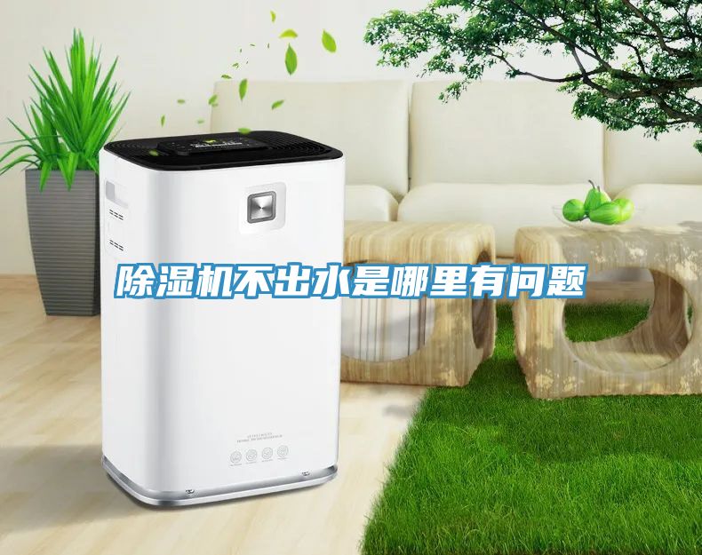 91看片软件大全不出水是哪裏有問題