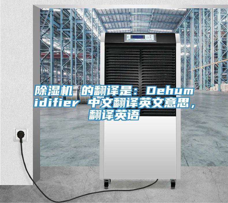 91看片软件大全 的翻譯是：Dehumidifier 中文翻譯英文意思，翻譯英語