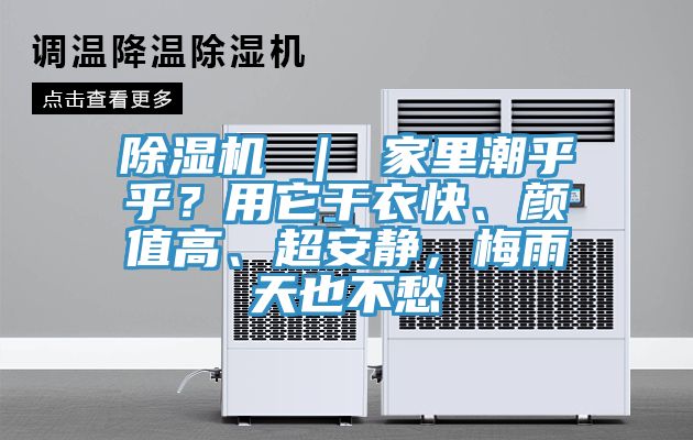91看片软件大全 ｜ 家裏潮乎乎？用它幹衣快、顏值高、超安靜，梅雨天也不愁