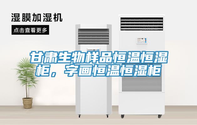甘肅生物樣品恒溫恒濕櫃，字畫恒溫恒濕櫃