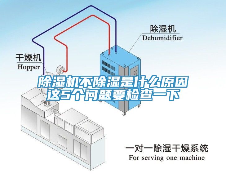91看片软件大全不除濕是什麽原因這5個問題要檢查一下
