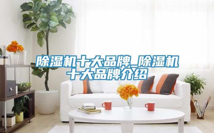 91看片软件大全十大品牌_91看片软件大全十大品牌介紹