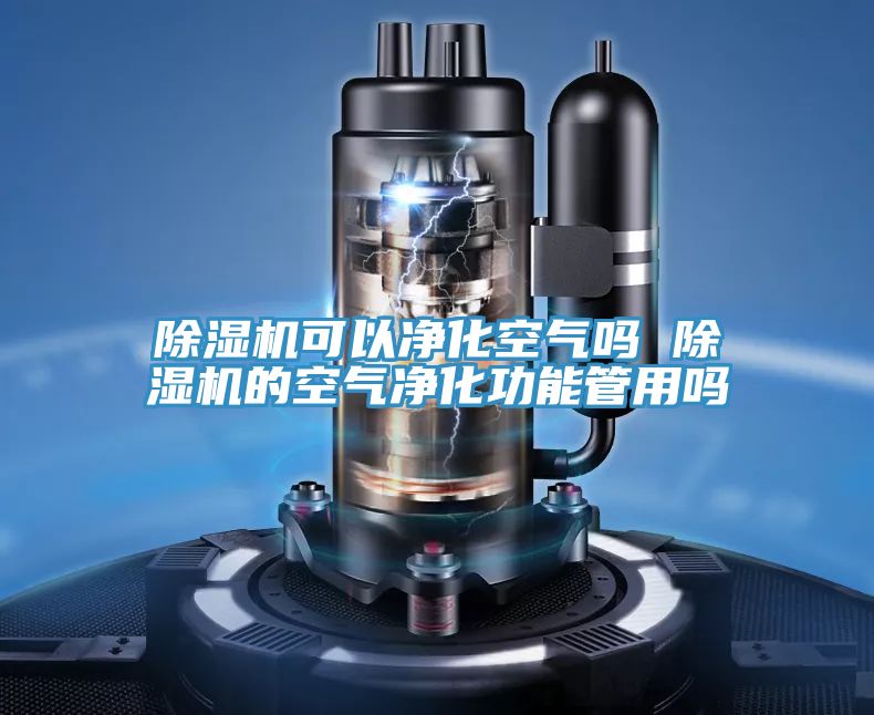 91看片软件大全可以淨化空氣嗎 91看片软件大全的空氣淨化功能管用嗎