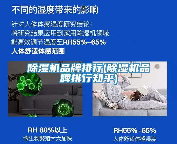 91看片软件大全品牌排行(91看片软件大全品牌排行知乎)