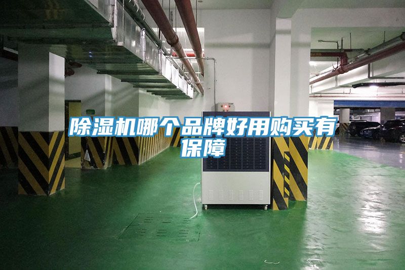 91看片软件大全哪個品牌好用購買有保障
