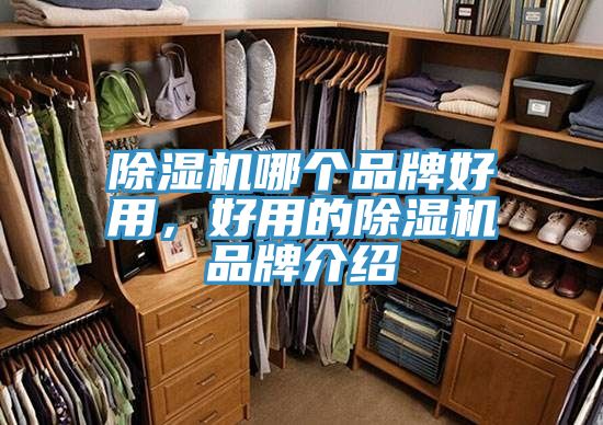 91看片软件大全哪個品牌好用，好用的91看片软件大全品牌介紹