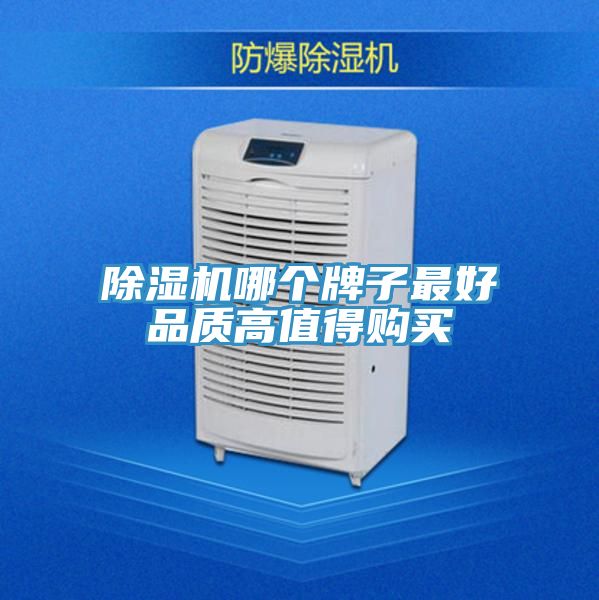 91看片软件大全哪個牌子最好品質高值得購買