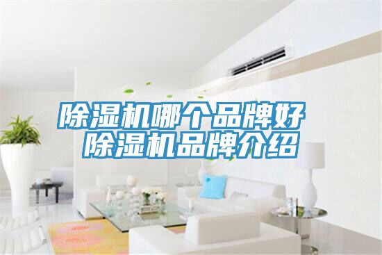 91看片软件大全哪個品牌好 91看片软件大全品牌介紹