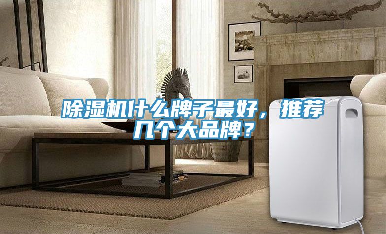 91看片软件大全什麽牌子最好，推薦幾個大品牌？