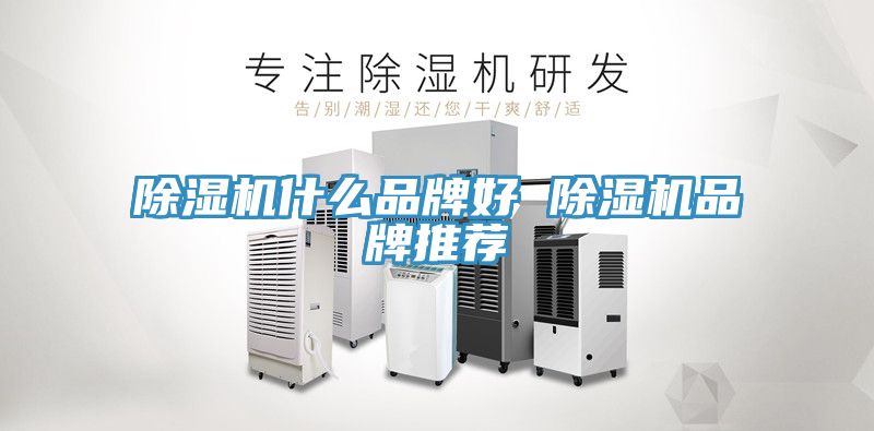 91看片软件大全什麽品牌好 91看片软件大全品牌推薦