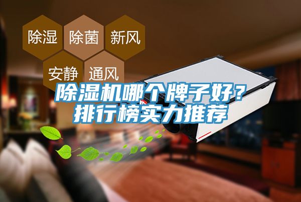 91看片软件大全哪個牌子好？排行榜實力推薦