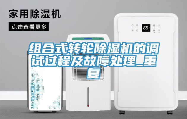 組合式轉輪91看片软件大全的調試過程及故障處理_重複