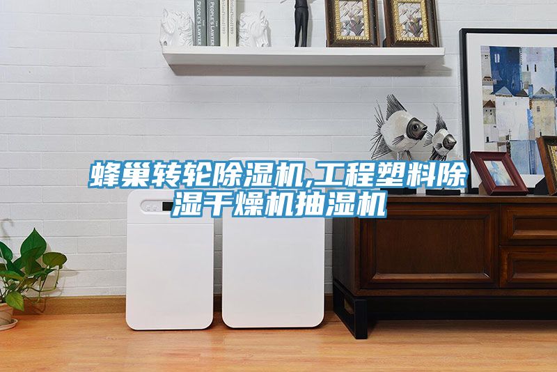 蜂巢轉輪91看片软件大全,工程塑料除濕幹燥機抽濕機