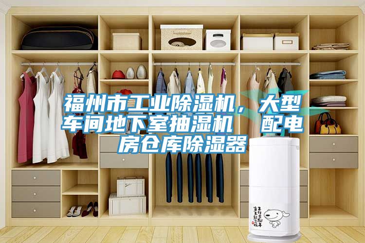 福州市工業91看片软件大全，大型車間地下室抽濕機  配電房倉庫除濕器