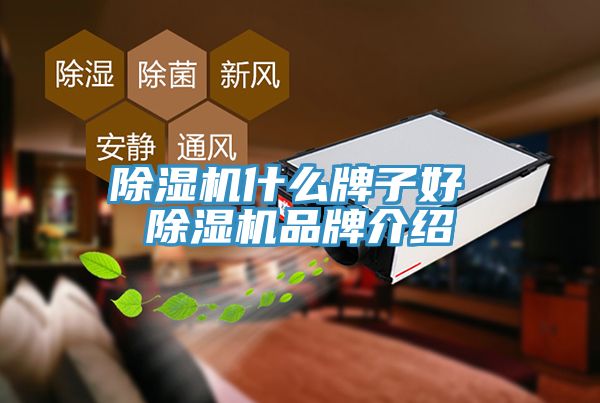 91看片软件大全什麽牌子好 91看片软件大全品牌介紹