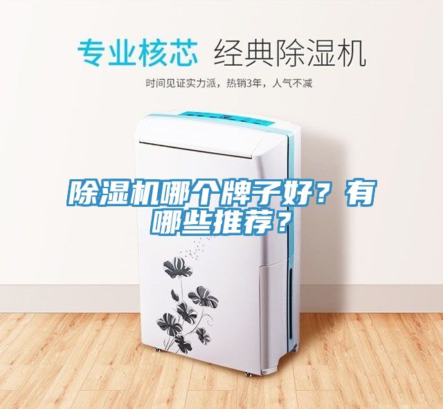 91看片软件大全哪個牌子好？有哪些推薦？