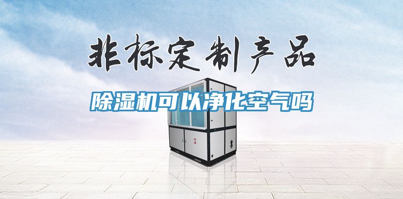 91看片软件大全可以淨化空氣嗎
