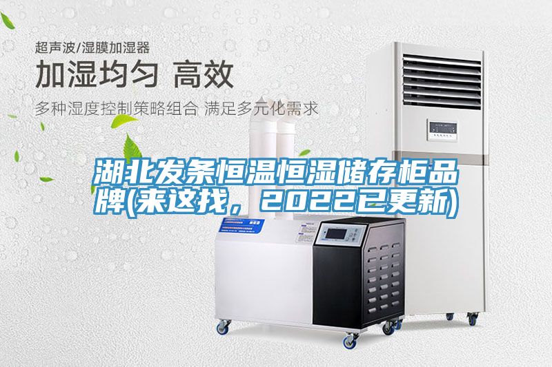 湖北發條恒溫恒濕儲存櫃品牌(來這找，2022已更新)