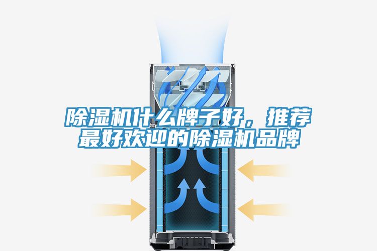 91看片软件大全什麽牌子好，推薦最好歡迎的91看片软件大全品牌