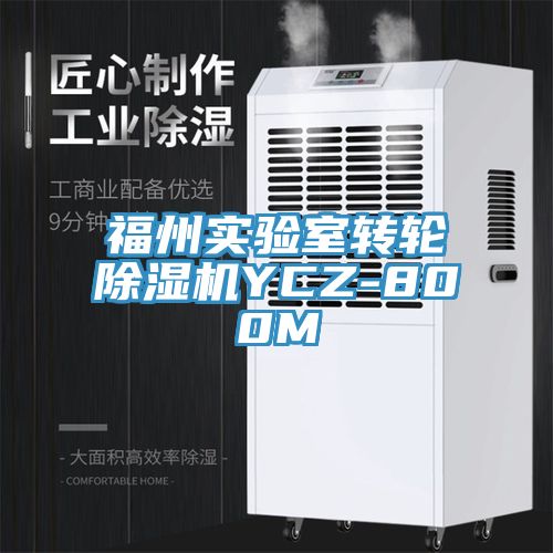 福州實驗室轉輪91看片软件大全YCZ-800M