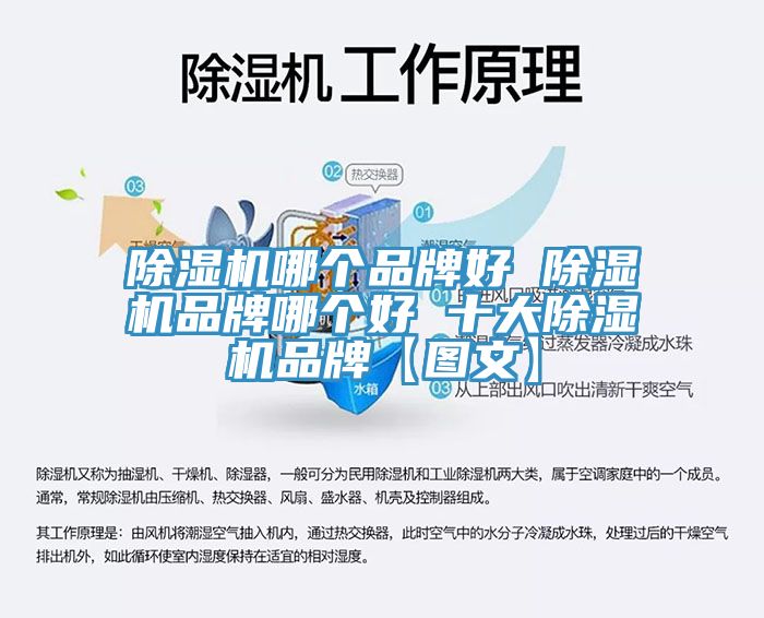 91看片软件大全哪個品牌好 91看片软件大全品牌哪個好 十大91看片软件大全品牌【圖文】
